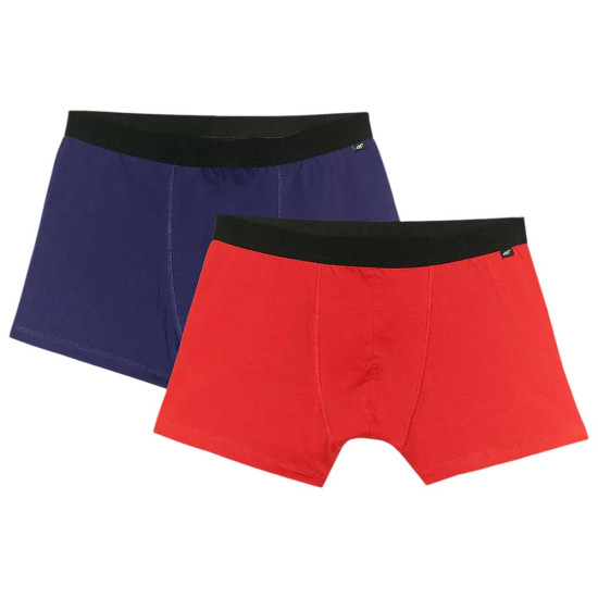 4F Ανδρικό εσώρουχο boxer 2-Pack